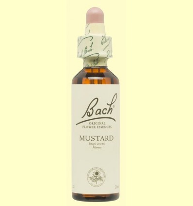 Mostassa - Mustard - Bach - 20 ml