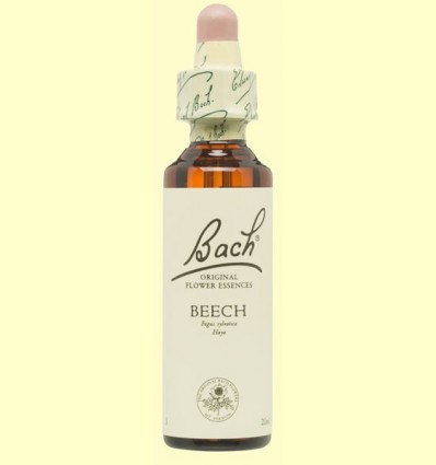 Hi hagi - Beech - Bach - 20 ml