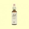 Sauce - Willow - Bach - 20 ml