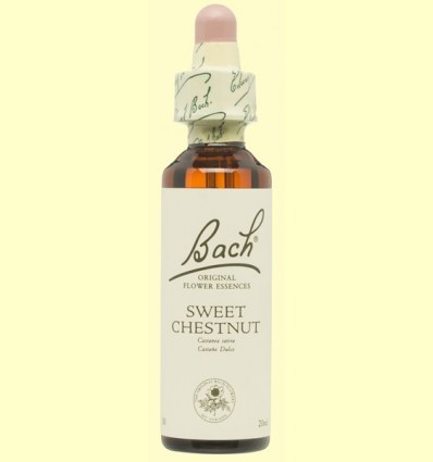 Castaño Dolç - Sweet Chestnut - Bach - 20 ml