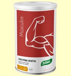 Proteïna Vegetal Dynamic Protein gust Vainilla - Santiveri - 455 grams