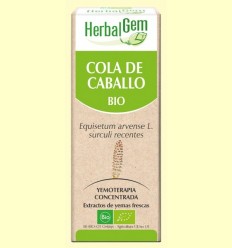 Cua de Cavall Bio - Yemoteràpia - HerbalGem - 15 ml