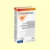 Dynabiane - Cansament - PiLeJe - 60 càpsules