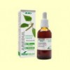 Bedoll Extracte S XXI - Soria Natural - 50 ml