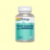 Plus Yeast Cleanse + Berberine - Solaray - 90 càpsules